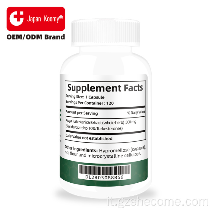 Supporto per il turkesterone Capsule di turkesterone per il recupero degli esercizi